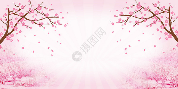 春季樱花树樱花唯美场景设计图片