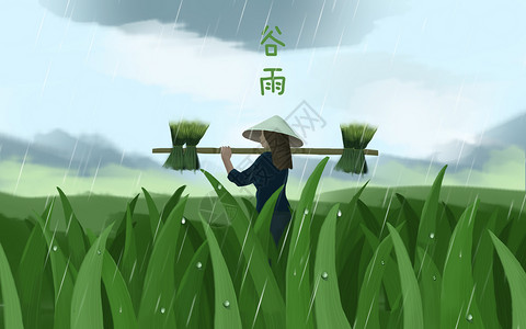 禾苗谷雨插画