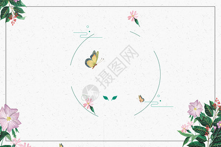 花枝上的蝴蝶小清新背景设计图片