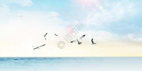 弄飞翔的海鸥设计图片