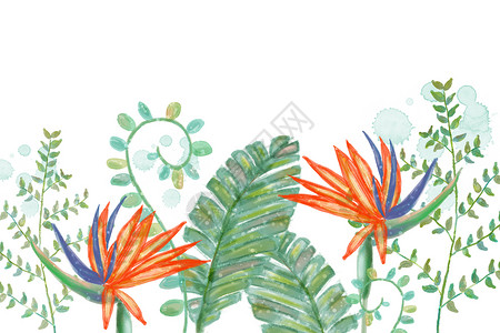 手绘热带植物插画图片