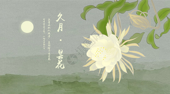 中国风花卉唯美高清图片素材
