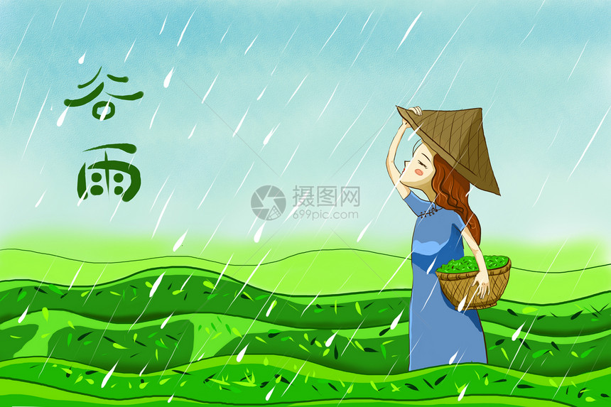 谷雨采茶图片