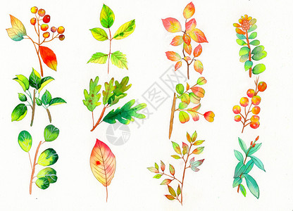水彩手绘植物背景图片