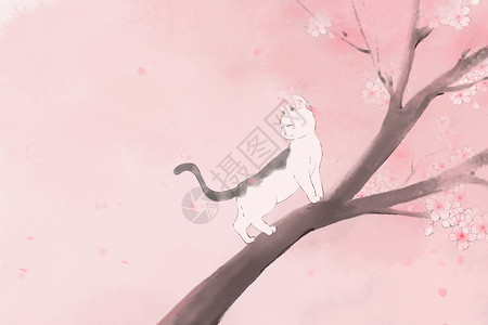 爬樱花树的猫高清图片