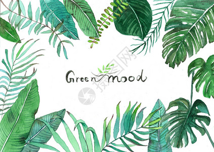 小清新植物装饰边框设计水彩手绘北欧绿植插画