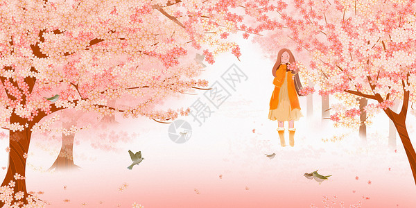 美丽的樱花季图片