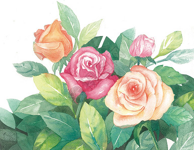 高清素材花卉手绘水彩花朵插画
