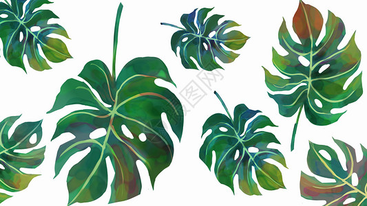 热带植被素材背景图片