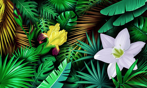 热带植物花卉背景背景图片