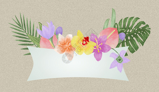 热带植被插画背景图片
