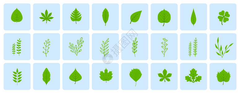 绿色树叶图标插画