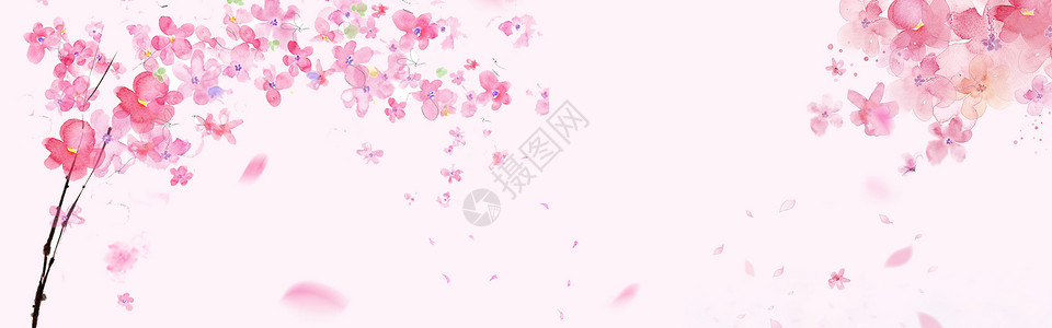 治愈樱花树樱花节背景设计图片