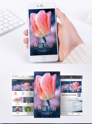 春天心情春天粉色花朵手机海报模板