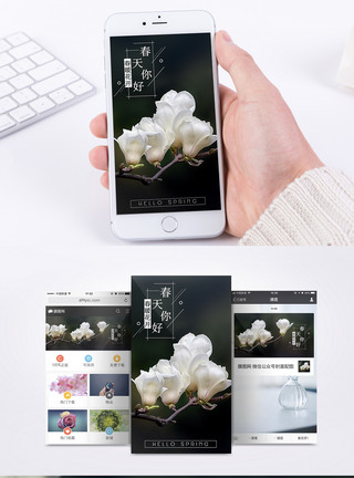 简笔画花朵春天玉兰花开手机海报配图模板