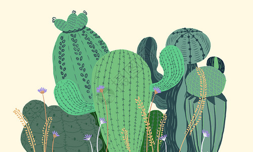 仙人球植物清新插画背景图片