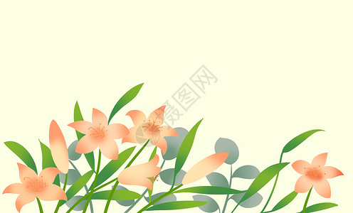 百合插花植物花卉背景插画
