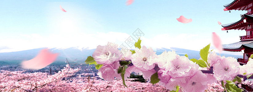 粉色浪漫樱花化妆品背景背景图片