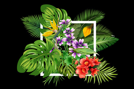 花卉植物背景背景图片
