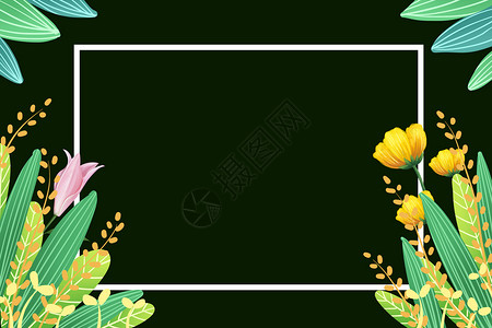 桃花标签边框花卉植物边框插画