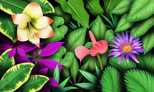 植物花卉元素背景背景图片