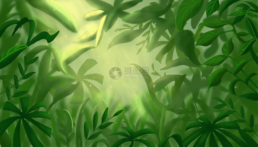 森林植物背景图片