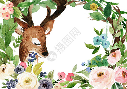 水彩花边花和小鹿插画