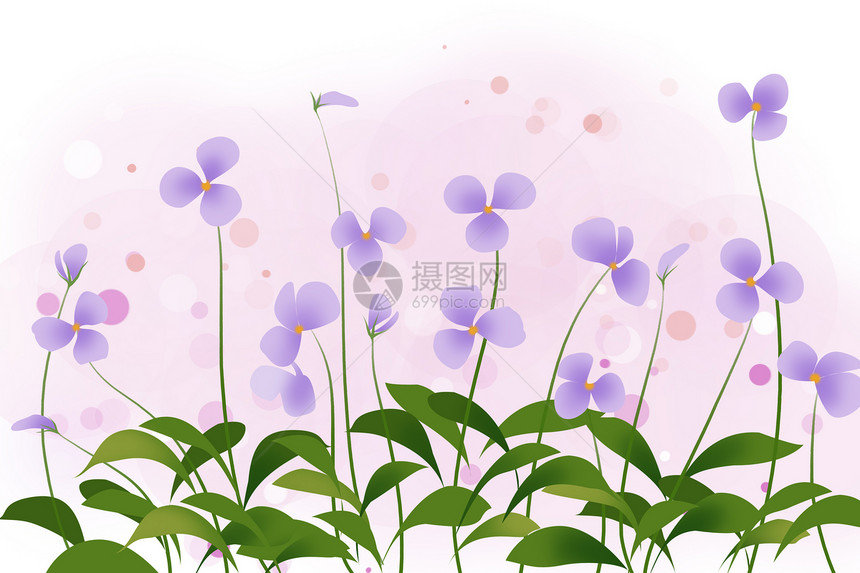 蝴蝶兰花卉背景图片