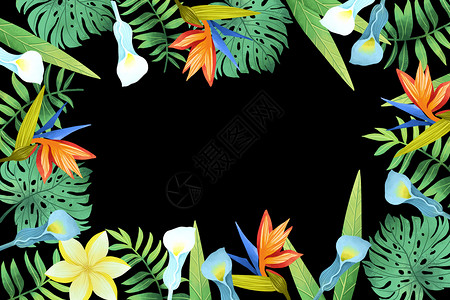 白黑底素材黑底热带花卉元素背景插画