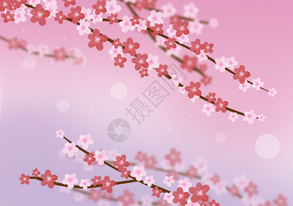 粉红樱花背景图片