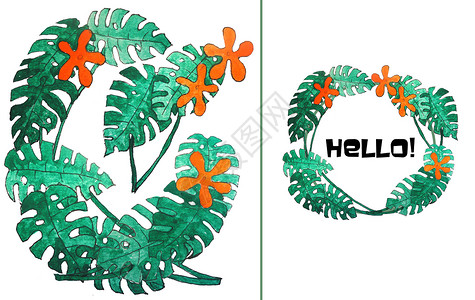 手绘水彩龟背竹和花图片
