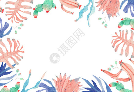 多肉花卉元素植物花卉背景插画