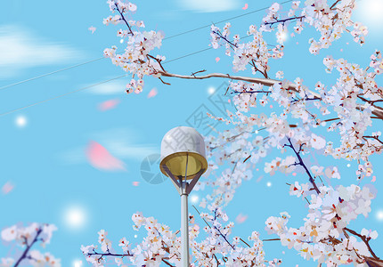 武汉大学樱花季路灯与樱插画