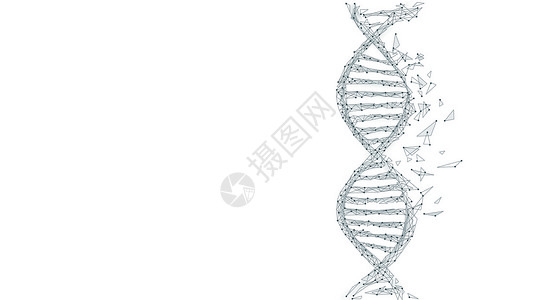 DNA基因背景图片