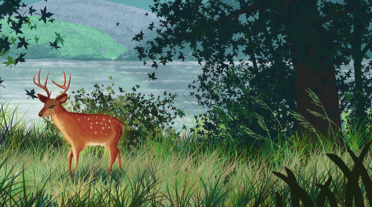 草丛里的鹿湖边树林的鹿插画