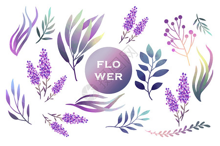 森林元素紫色薰衣草花卉植物元素插画
