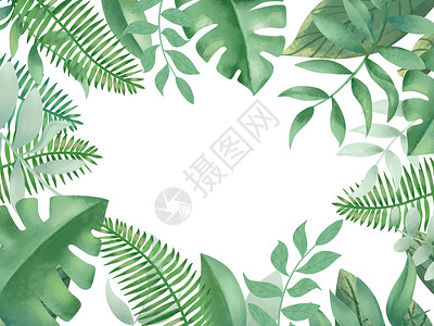 夏季小清新绿茶树叶热带植物背景插画