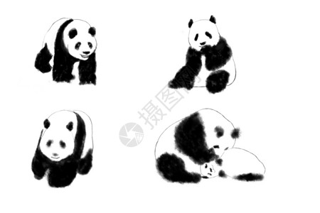 熊猫手绘  水墨风格背景图片