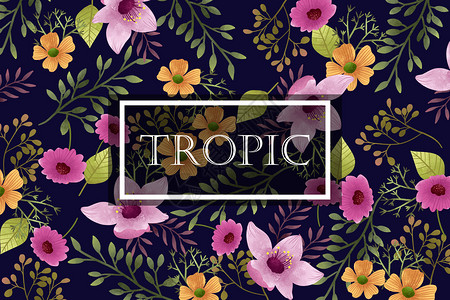 黑底热带花卉植被边框字母背景高清图片