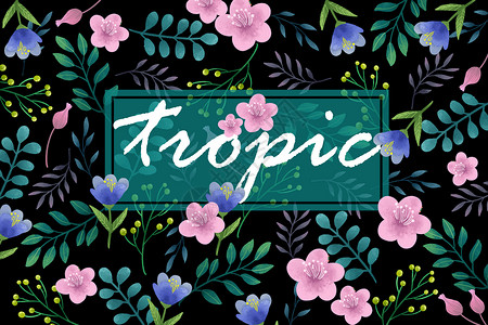 彩色窄边框合集热带花卉植被边框字母边框插画