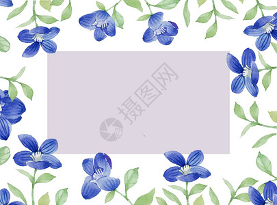花卉元素边框图片