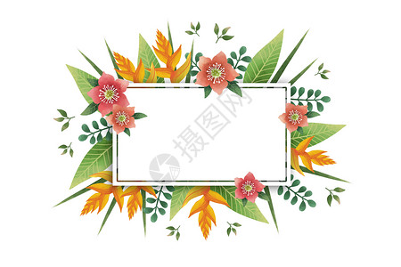 彩色窄边框合集小清新花卉植物装饰框插画