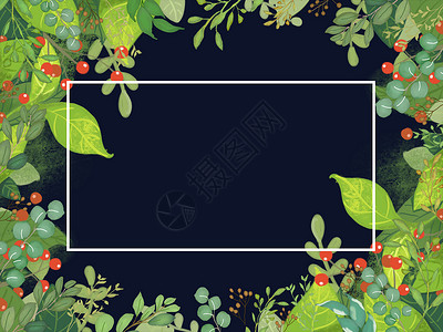 女生节花框装饰热带植物背景插画