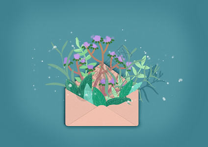 邮寄信件信封里的花插画