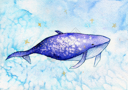 水彩手绘鲸鱼背景图片