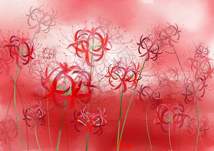 红色彼岸花手绘花卉彼岸花高清图片