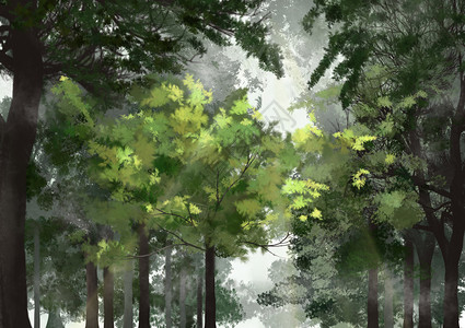 护眼绿色雾中森林插画