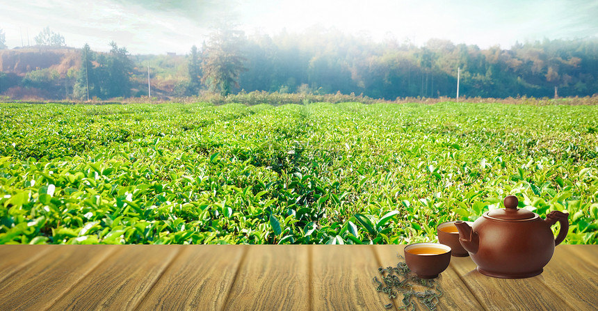 绿色清新春茶广告背景图片