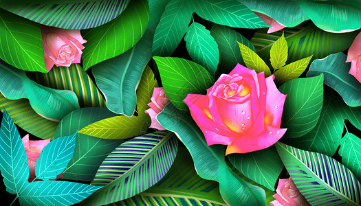 玫瑰花卉背景背景图片