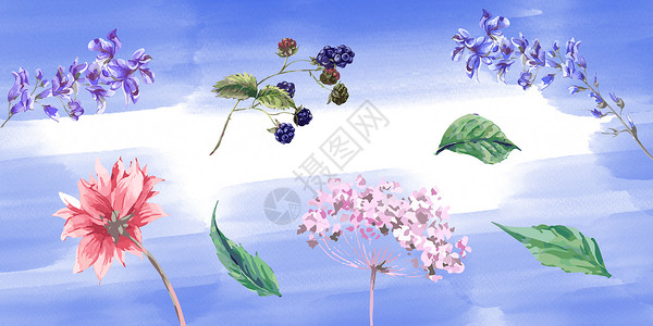 蓝莓PNG水彩植物素材插画